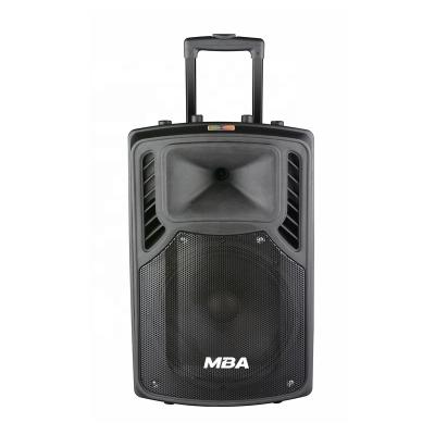 China Wholesale Wireless High Power 10 12 15 200 Inches Powerful Bass Portable Rechargeable Trolley Speaker for sale