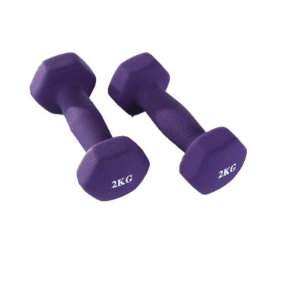 China Low Price Cast Iron Adjustable Non Slip Handle Hex Dumbells for sale