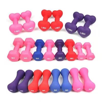 China Home Use High Quality Cast Iron Hex Dumbell For Women And Children for sale