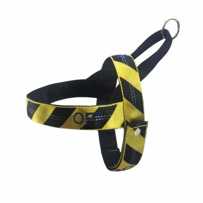 China Adjustable Nylon Ribbon Print Webbing Padded Service Dog Harness And Leash for sale