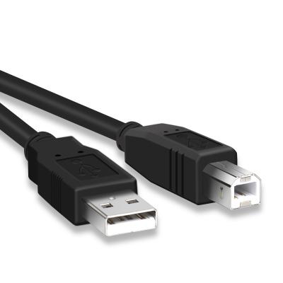 China Printer Wholesales Usb 2.0 Printer Type A Male To Type B Extension Cable Male Printing Cable High Quality Phone Cable for sale