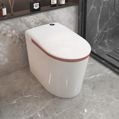 China Automatic Operation Waltmal MT5102 Automatic Sensor Flushing Toilet Bowl Electric One-Piece Japanese P-Trap Smart Wc Smart Toilet for sale