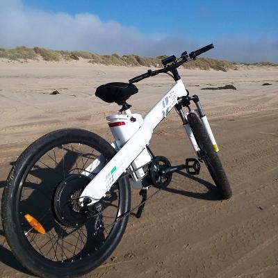 China 2022 new design e bike seagull MID-DRIVE EMTB full suspension ebike adults USA Ecotric multifunctional super electric bike for sale