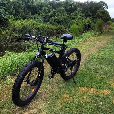 China Hot Sale 36V 500W 13AH Ebike 2022 Fat Tire Adult Riding Hot Easy Cycle Electric Bike For Wholesale for sale