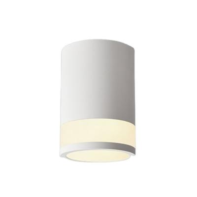 China ZG Modern Nordic Cylinder Shaped Flush Lamp Living Room Acrylic Bottom LED Downlight for sale