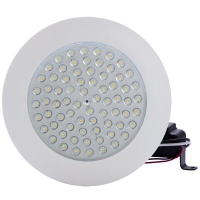 China ZG Circle LED Modern Single Flush Mount Element LED Down Light For Hotel Living Room Lamp for sale