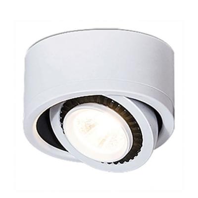 China Easy To Install Modern ZG Style LED Flush Mount Ceiling Light Down Light Spotlight Hotel Bar Light for sale