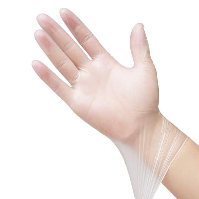 China Wear Resistance Gloves 100 Pcs / Box Disposable Vinyl Powder Free PVC Disposable Gloves Transparent for sale