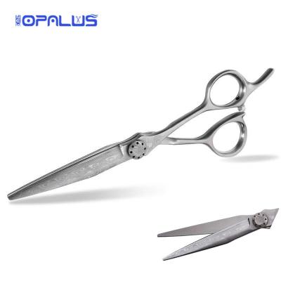 China High Quality Japanese Hair Scissors VG-10 Hair Cutting Shears Professional Scissors Hairdressing Scissors For Beauty Care MXS801 for sale