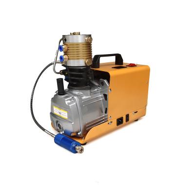 China 300 bar pcp pump pcp oil free air compressor 4500 PSI high pressure compressor for sale