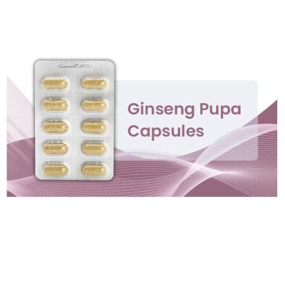 China Vegan Natural Organic 100% Yew Ginseng Extracts in Capsules for Blood System Improvement for sale