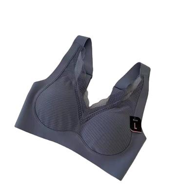 China Wholesale price QUICK DRY plus size sexy high impact strength sports seamless bra for sale