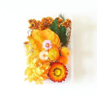 China Decoration Natural Flower Diy Unique Little Dried Flower Set Scented Candle Flowers Card Making Accessories Dried Flower Craft Pampas Small Size for sale