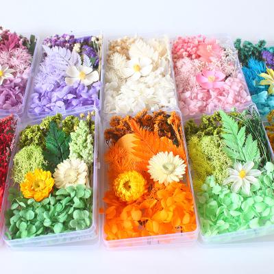 China Decoration Natural Flower Diy Flowers Resin Candle Craft Decoration Mixed Color Boxed Dried Flowers Enternal Dried Plants Flower Natural for sale