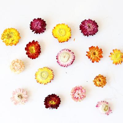 China Dried Dried Flowers and Decoration Natural Flower Plants Ornaments Random Natural Mix Daisy Dried Flowers For Home Decoration for sale