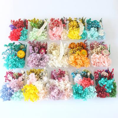 China Natural Raw Material DIY Handmade Dried Flowers Photo Frame Candle Decoration Flower Support Boxed Dried Flower Materials for sale