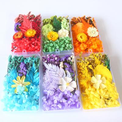 China Decoration Natural Flower Boxed Beautiful Real Dry Natural Mix Flowers Floral For Art Craft Craft Scrapbooking Resin Jewelry Making Epoxy Mold Filling for sale