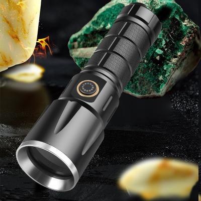 China Aluminum USB Chargering Ultraviolet Black Light Black D65 Emergency 365nm UV Flashlight UV Flashlight For Dog Urine Pet Stain Bed Bug for sale