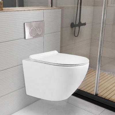 China FANNISI Modern Double-Flow System Sanitary Ware WC Rimless Flushing Ceramic Wall Hung Toilet Bowl for sale