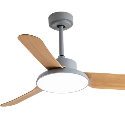 China Fan with decorative 42 inch lightweight modern simple bldc DC ABS blade remote control led ceiling fan for sale