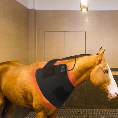 China Kinreen Physiotherapy Treatments Led Infrared Red Light Therapy Wrap Full Body Weight Loss Light Belt Use 660nm 850nm Belt For Horse for sale