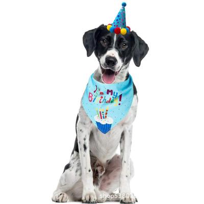 China Sustainable Dog Sun Hat Pet Birthday Hat for sale