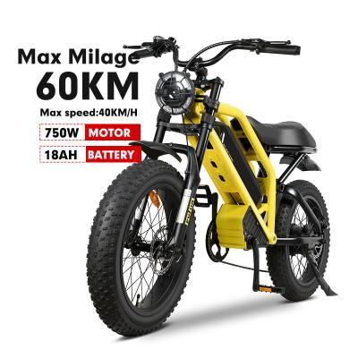 China Aluminum Alloy MTB E Dirt Bike 48V Electric Mountain Bike Off Road Electric Bicycle For Adults E-Bike Electric Fatbike for sale