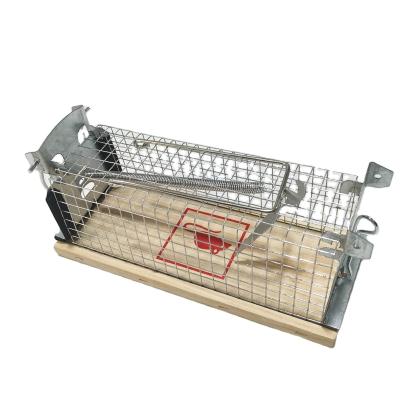 China Amazon B2B Europe Disposable Classic Rat Trap Cage Easy Hook Rat Cage No Kill Reusable Live Mouse Trap Can Customized Logo for sale