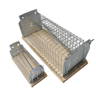 China Large Disposable Humane Live Rat Trap Mouse Trap Cage Rodent Traps Safe For Kids And Pet for sale