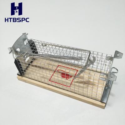 China Humane Europe Disposable Popular Rat Cage Trap Mouse Cage No Kill Reusable Live Mouse Trap Can Customized Logo for sale