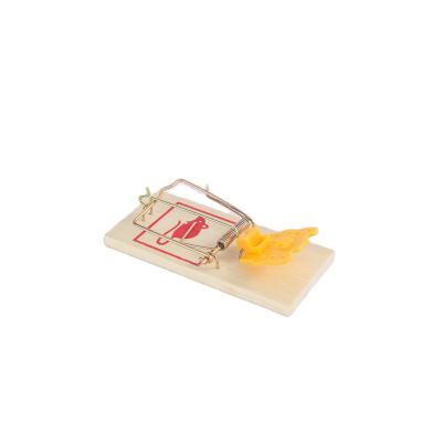 China Disposable Customized Small Size Wooden Mouse Trap Mice Break Trap Rat Killer Trap for sale