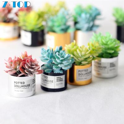 China Landscape Mini Toy Dollhouse Accessories Model Succulent Plant Simulation Miniature Mini Potting Decorations for sale