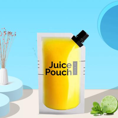 China Biodegradable Drink Liquid Water Soap Wash Safety Small Packaging Stand Up Pouch Bags Bpa Free for sale