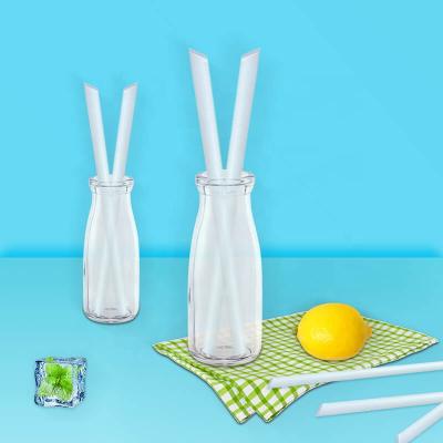 China Plastic Drinking Straw Stainless Steel Christmas Straw Drinking Straw for sale