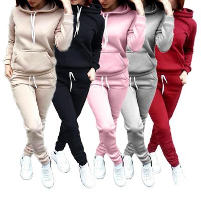 China custom logo anti-wrinkle anti-wrinkle long sleeve sweatsuit winter tracksuit plus size two pcs ladies clothing 2 piece hoodie and tracksuit set women for sale