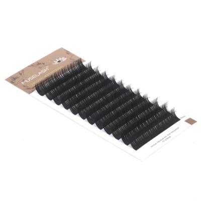 China Long Design Organizer Natural Popular Box Mink Fan Private Label Easy Eyelash Extension for sale