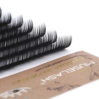 China Long Bunch Natural Disposable Paper Ellipse Best Selling Custom Eyelash for sale