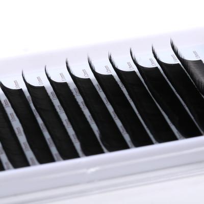 China New product private label long natural gel correction for flat lashes eyelash extensions eyelashes length sof for sale