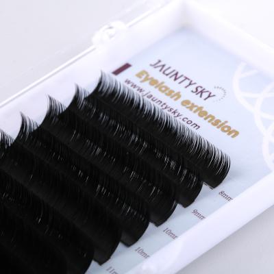 China Natural Soft Volume 0.03 0.05 0.07 Easy Fans Mink Eyelash False Eyelashes Extension Whips Extension for sale