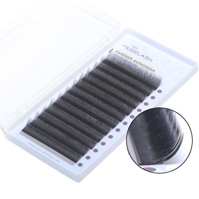 China Double Layer Lash Do The Best False Tapered Individual Eyelash Extension for sale