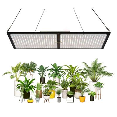 China Seed starting 240W QB288 lm301b lm561c Quantum LED grow light for indoor grow tent plant for sale