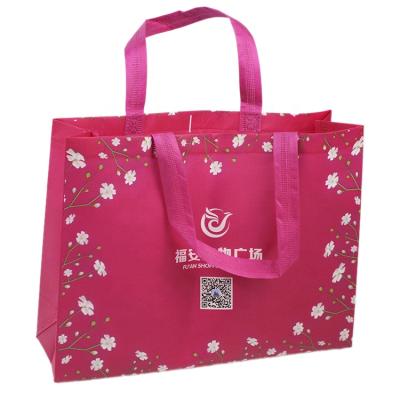 China OEM Manufacturer Handled Biodegradable Non Woven Bag Logo for sale