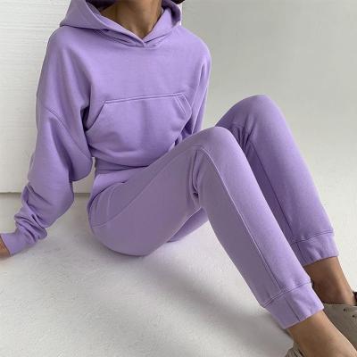 China New 2021 solid color hooded viable autumn fashion street style sports leisure hoodie fashion street style sweater set Z183 for sale