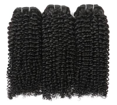 China Cheap Wholesale Indian High Quality Afro Kinky Curly Hair Extension Curly Clip In Hair Extension for sale