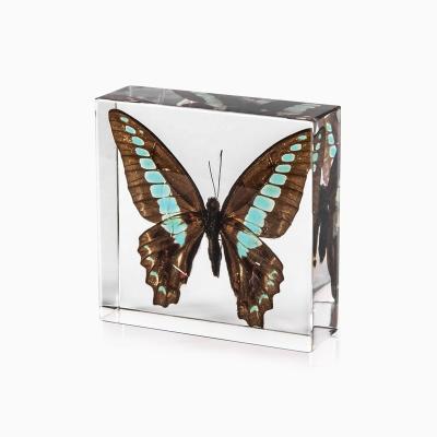 China High Quality Natural Crystal Specimen Resin Craft Holiday Decor Real Butterfly Home Decoration for sale