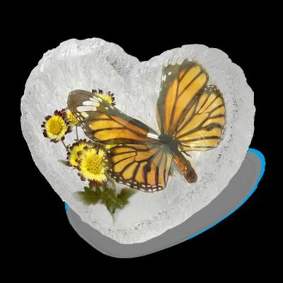 China Wedding special acrylic decorative handmade acrylic home decoration real flowers and butterfly embedded for sale