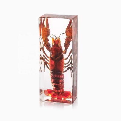 China True Natural Specimen Marine Animal Acrylic Large Paperweight Lobster for sale