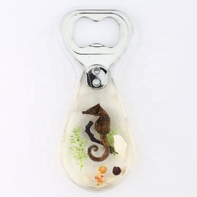 China Newest Marine Aquarium Resin Bottle Opener Beer Bottle Opener Household Theme Daily Use Souvenir for sale