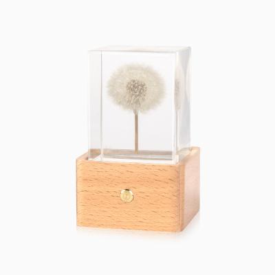 China Beautiful Crystal Home Decoration Night Light Dandelion LED Table Lamp Perfect Gift for sale