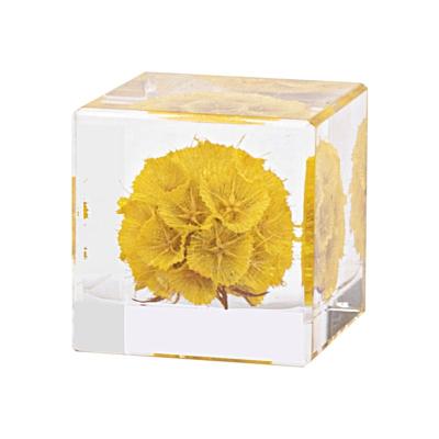 China Latest Natural Resin Crystal Cube Decoration Real Flower Preserved Nice Specimen Home Decor for sale